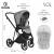 Детская коляска 2 в 1 Roan Sol Cloud Grey/Black/руч.Черный