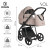Детская коляска 2 в 1 Roan Sol Sesame/Black/руч.Черный