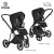Детская коляска 2 в 1 Roan Sol Raven/Black/руч.Черный