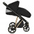 Детская коляска 2 в 1 Roan Sol Luxury True Black/Gold/руч.Черный