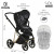 Детская коляска 2 в 1 Roan Sol Luxury True Black/Gold/руч.Черный
