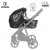 Детская коляска 2 в 1 Roan Sol Luxury True Black/Gold/руч.Черный