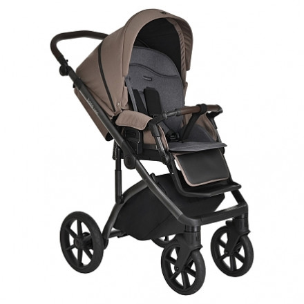 Детская коляска 3 в 1 Roan Bass Next Raisin Mood/Black/ руч.Тем.коричневый