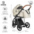 Детская коляска 3 в 1 Roan Sol Lux Pearl Shell/Nikiel/руч.Коричневый