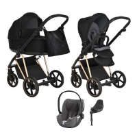 Детская коляска 4 в 1 Roan Sol Lux Raven/Rose Gold/руч.Черный
