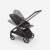 Детская коляска 2 в 1 Bugaboo Dragonfly Pink/Midnight black/Black chassis