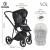 Детская коляска 4 в 1 Roan Sol Raven/Black/руч.Черный