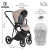 Детская коляска 4 в 1 Roan Sol Sesame/Black/руч.Черный