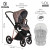 Детская коляска 4 в 1 Roan Sol Luxury Cocoa/Rose Gold/руч.Тем.Коричневый