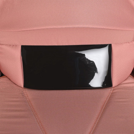 Детская коляска 2 в 1 Roan Bass Nex Rosy Mood/Black